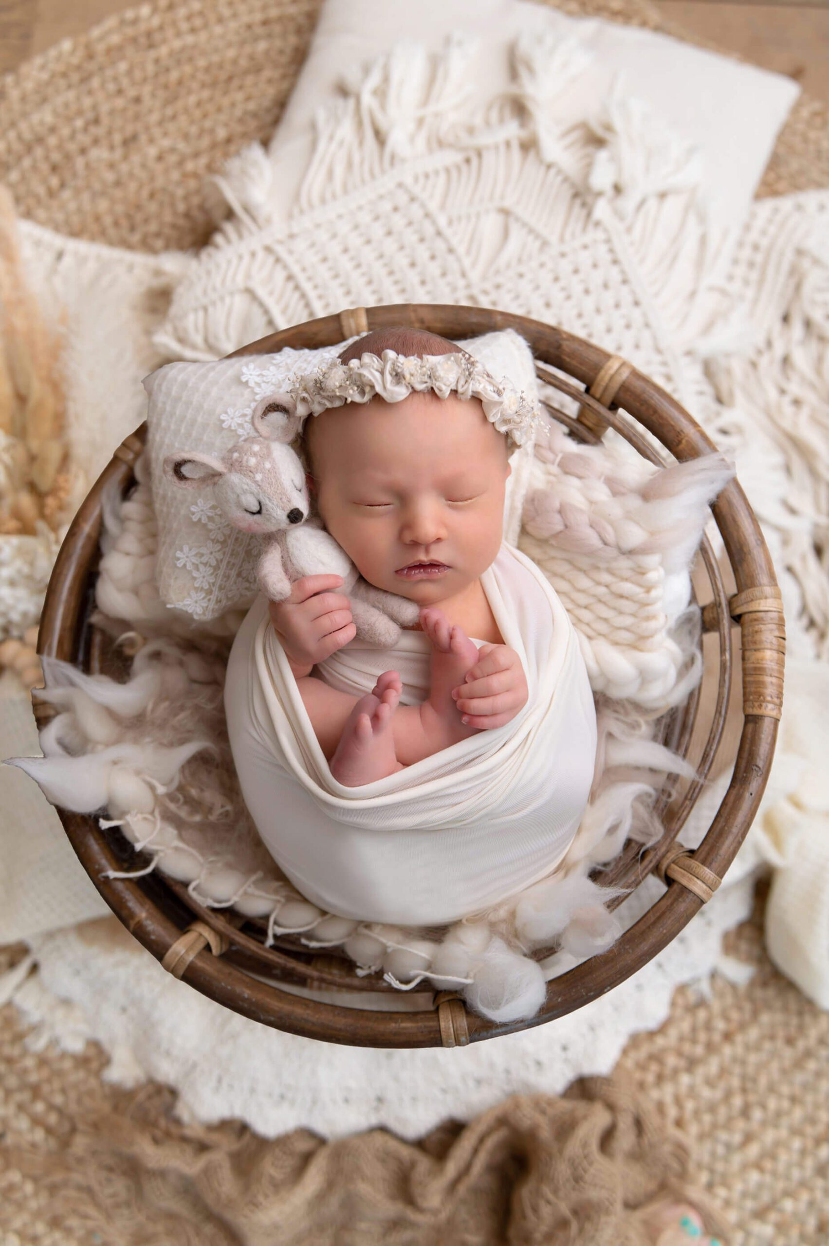 newborn girl holding a fawn in a wicker prop Burlington newborn photography