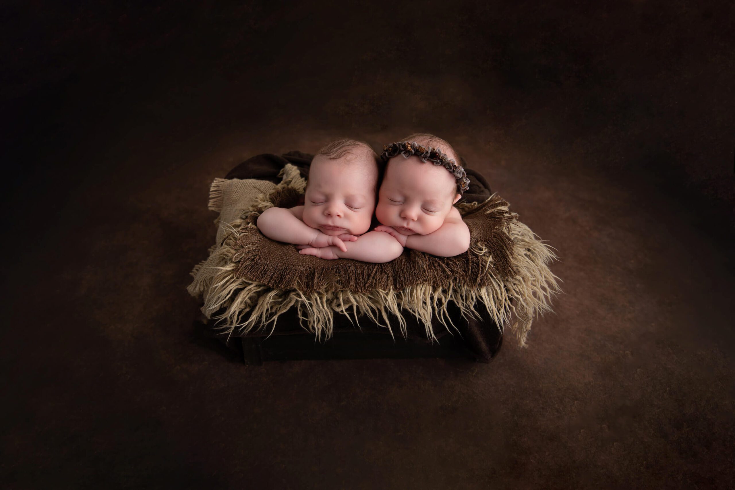 twin Cambridge newborn photographer with a brown set in a bucket