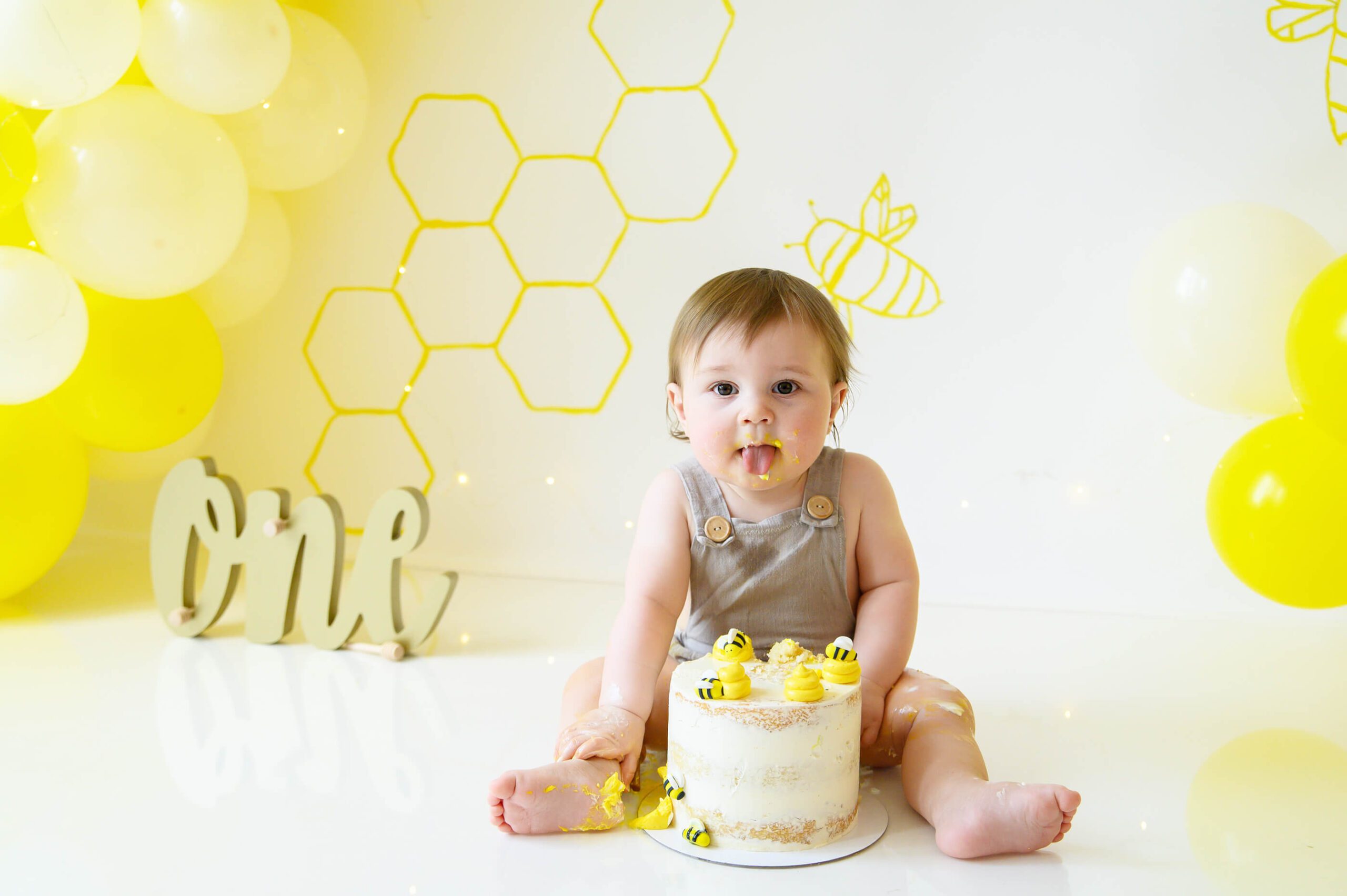 Fun To Bee One Cake smash ideas photography session set