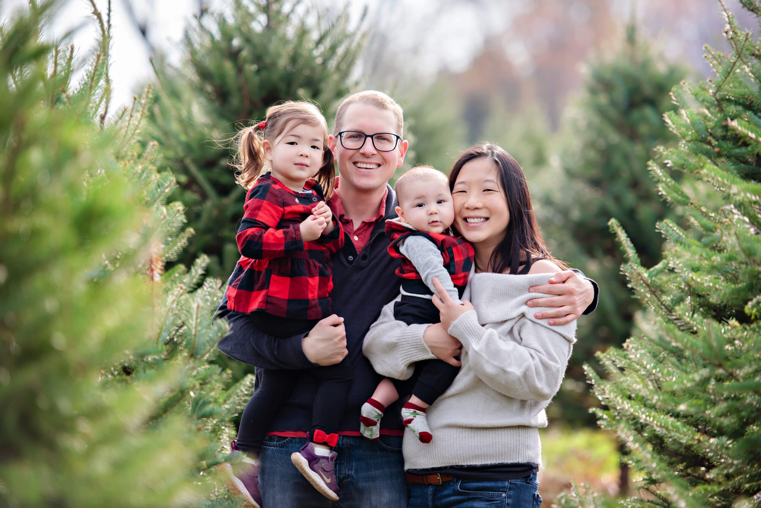 Family of four at the tree farm Christ In Toronto Family photos