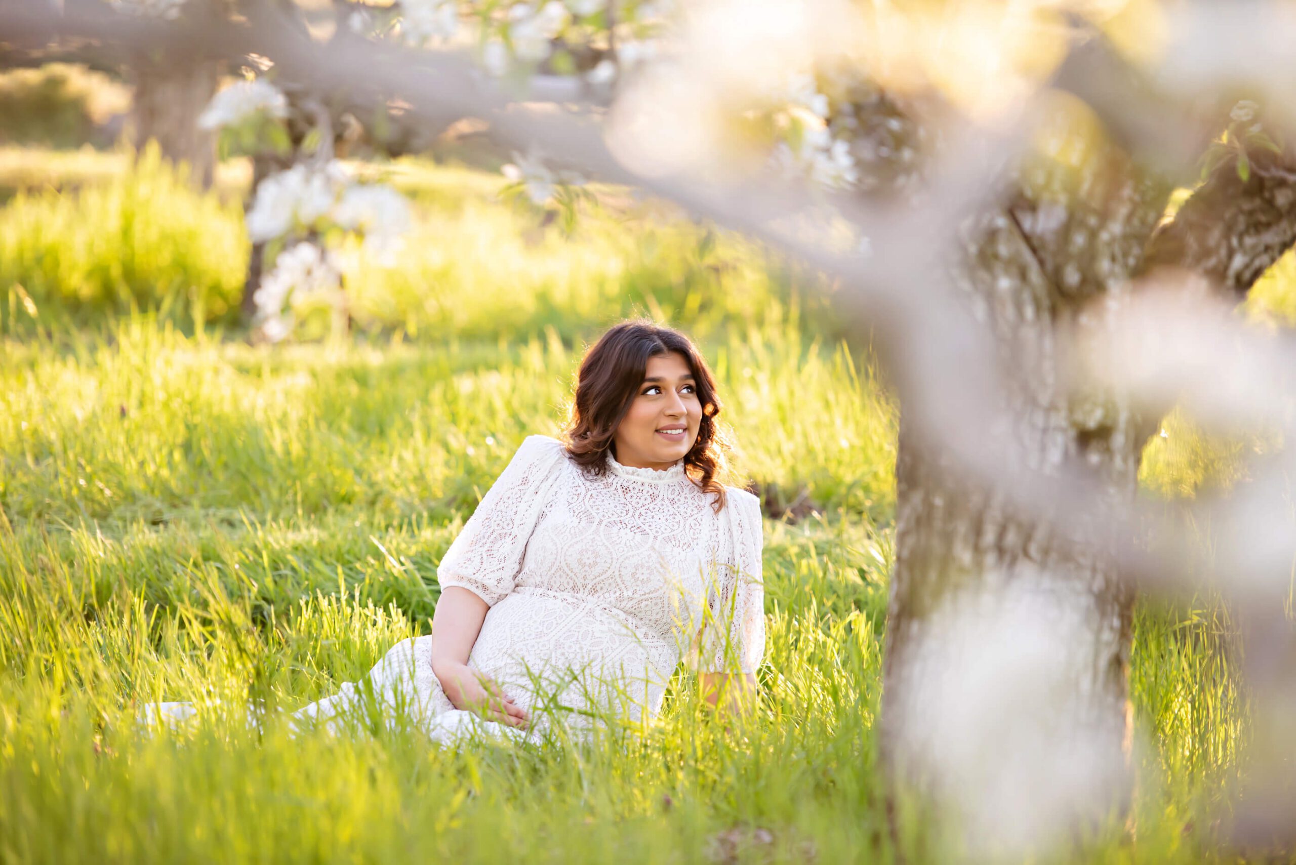 Pregnant Mom-to-be in the white cherry blossoms Cambridge Midwife