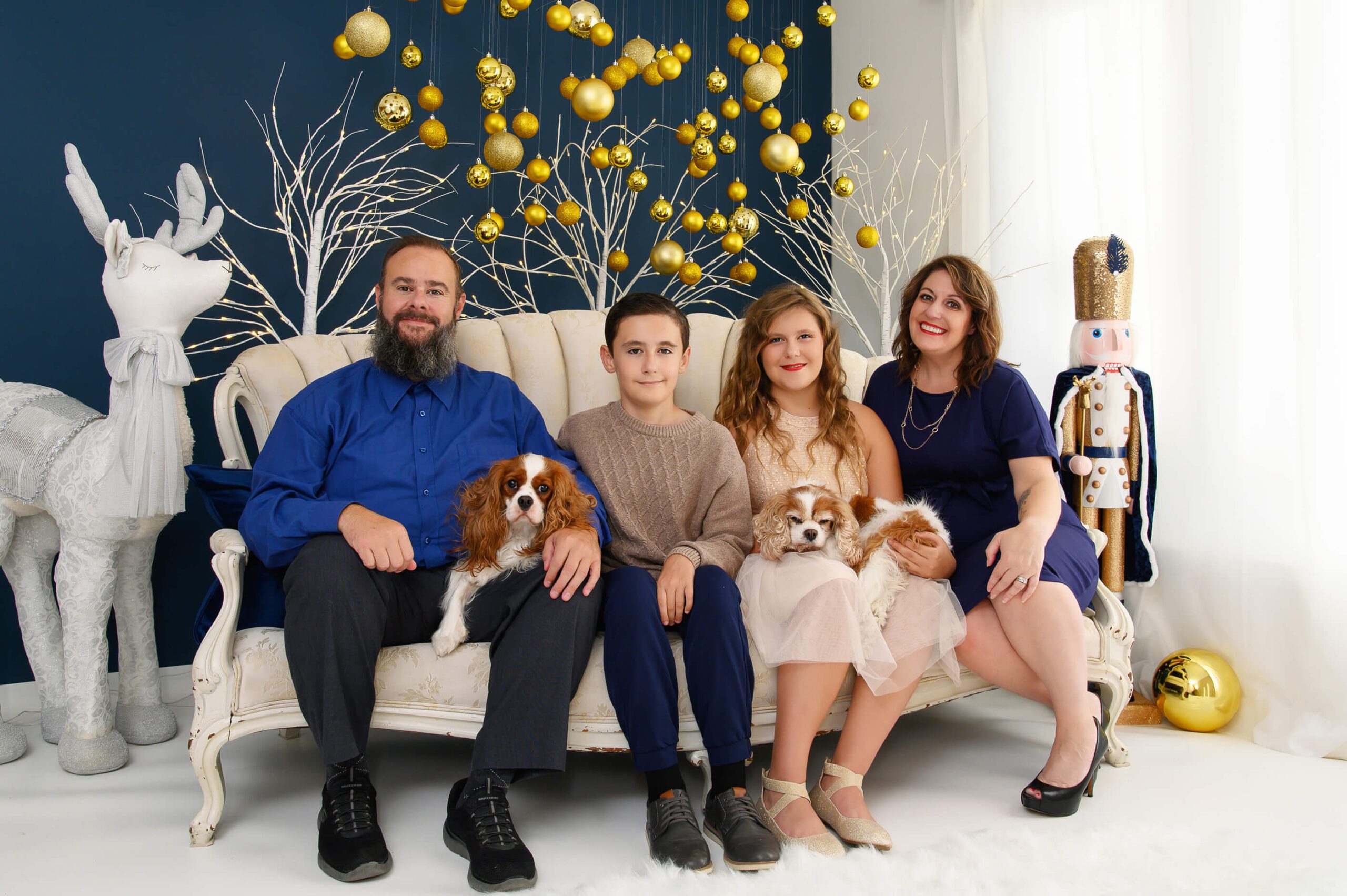 Family with dogs for their in-studio Toronto family Christmas photos