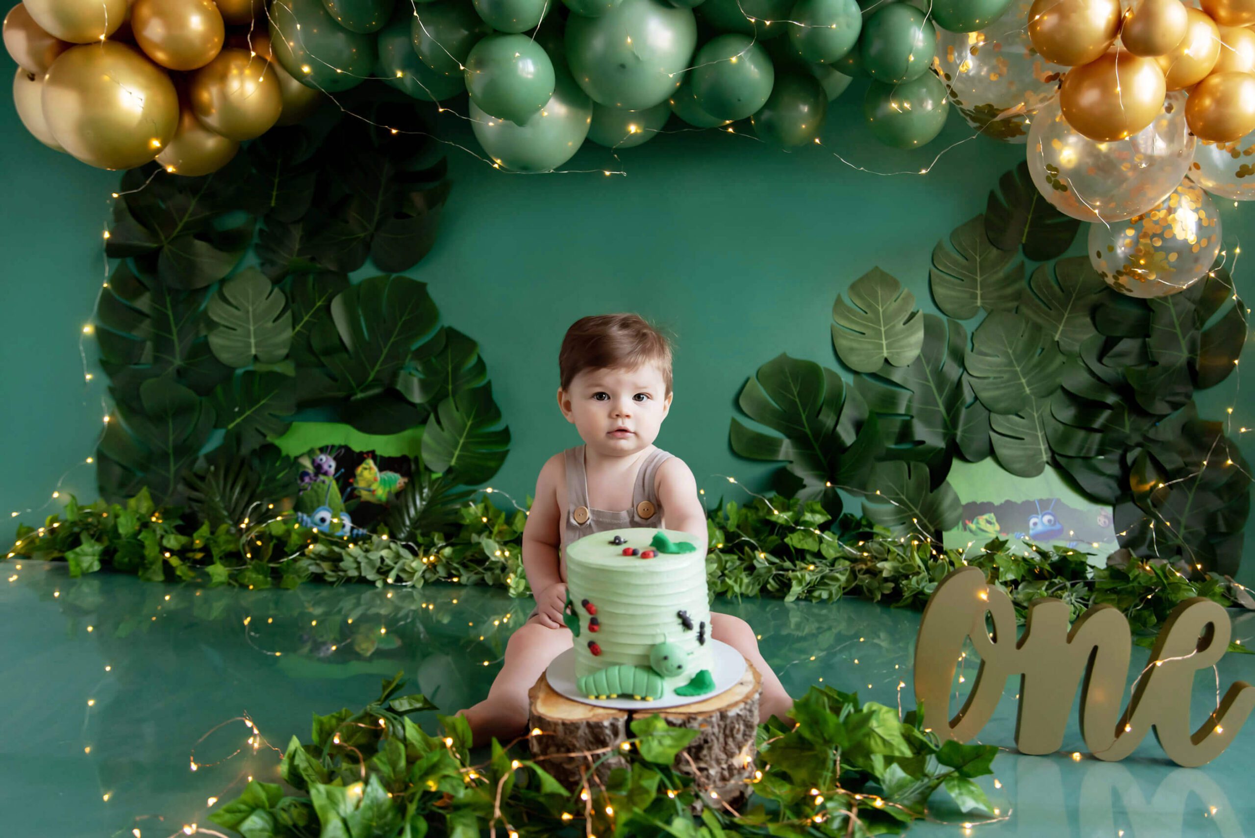 Its a Bug's Life for this love bug at his cake smash photo session