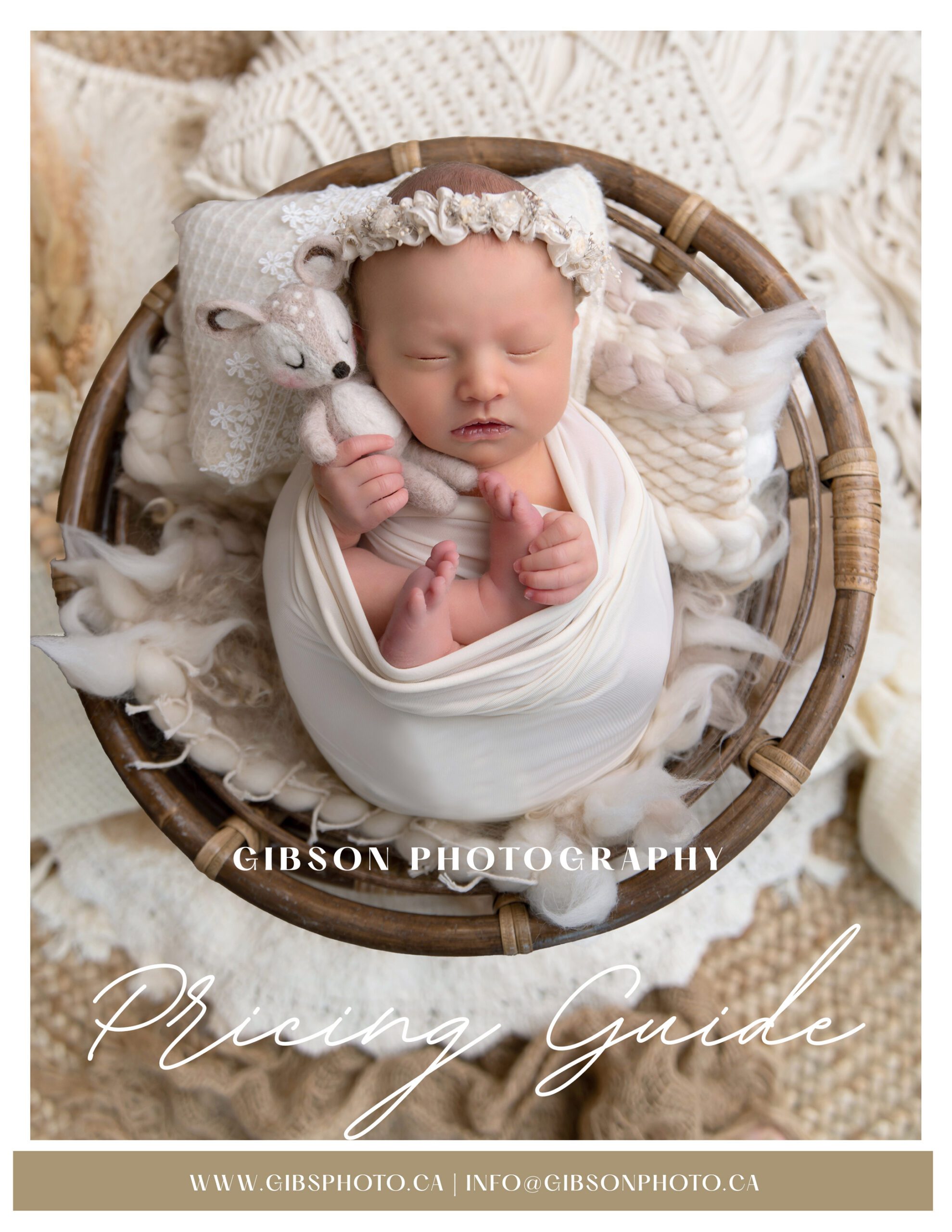 Toronto Newborn Photographer front page of Investment guide with newborn baby on the cover.
