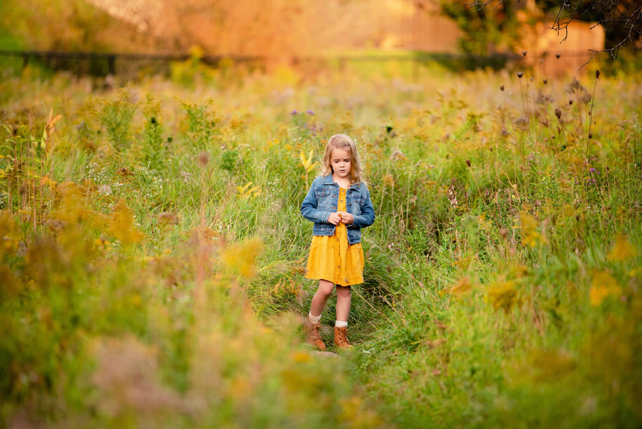 Little girl in the fall in a field of wild flowers