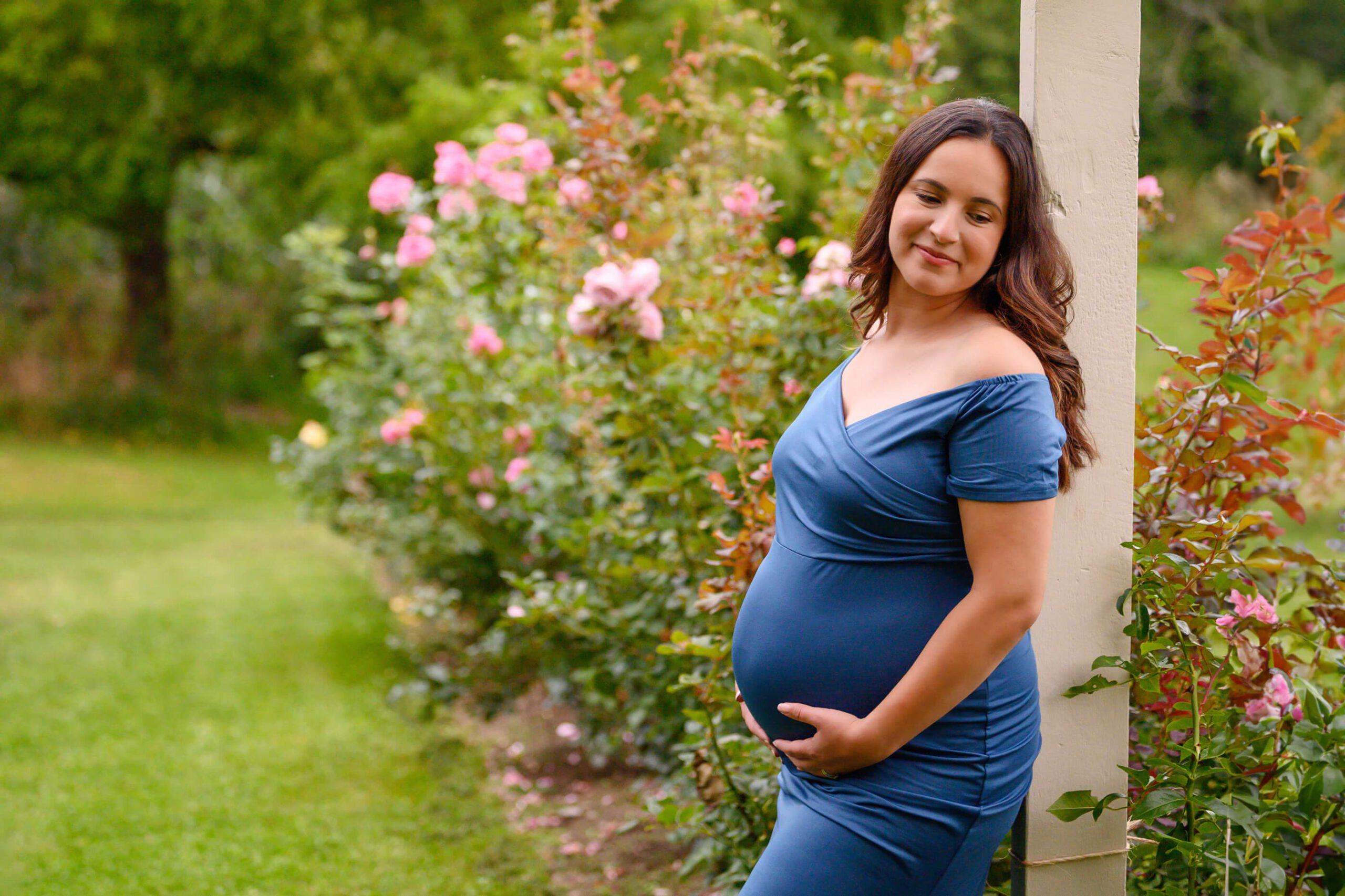 Mom wearing a blue dress in a rose garden Hamilton Maternity Photography
