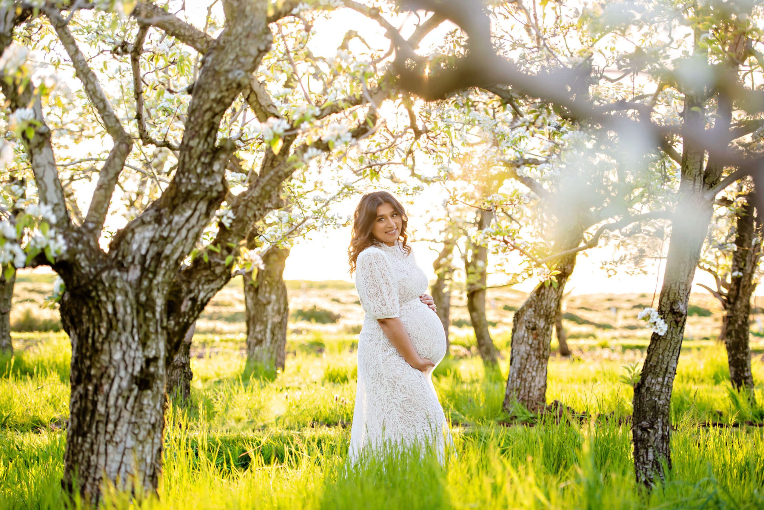 Pregnant mom wearing a white lace dress cradling her belly in the white cherry blossoms Toronto.