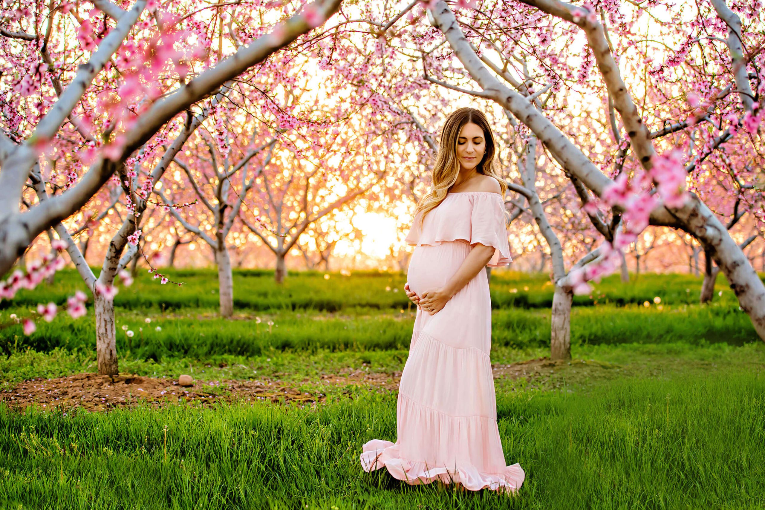 Maternity photo of mom-to-be wearing a pink dress in the pink cherry blossoms with the sun setting behind.