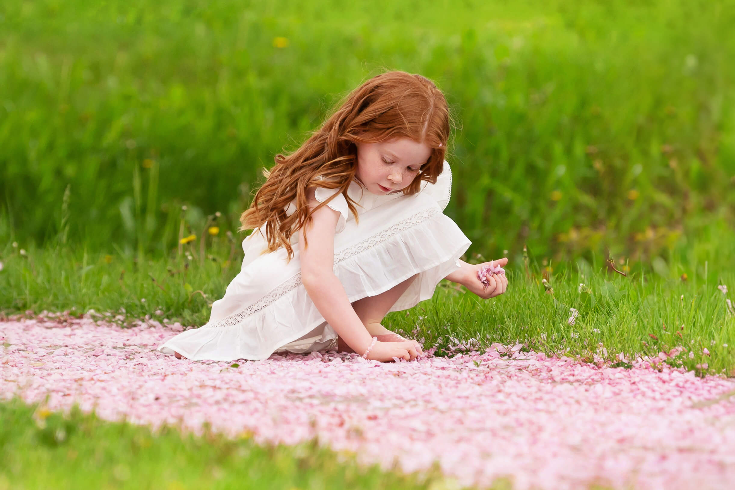 Little girl with red long hair bent down pick up pink blossom petals.