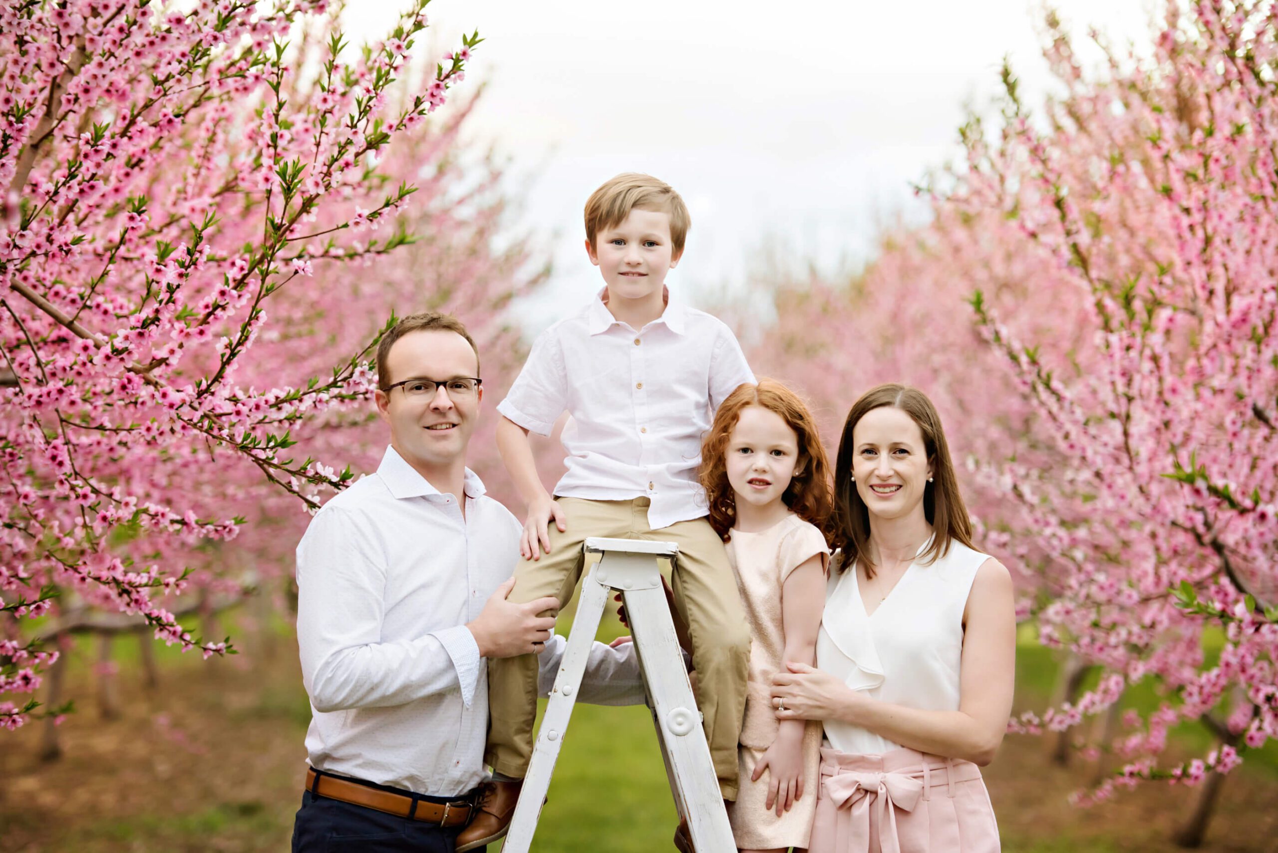 Mom, dad and brother and sister in the pink blossom orchard for their family photos.