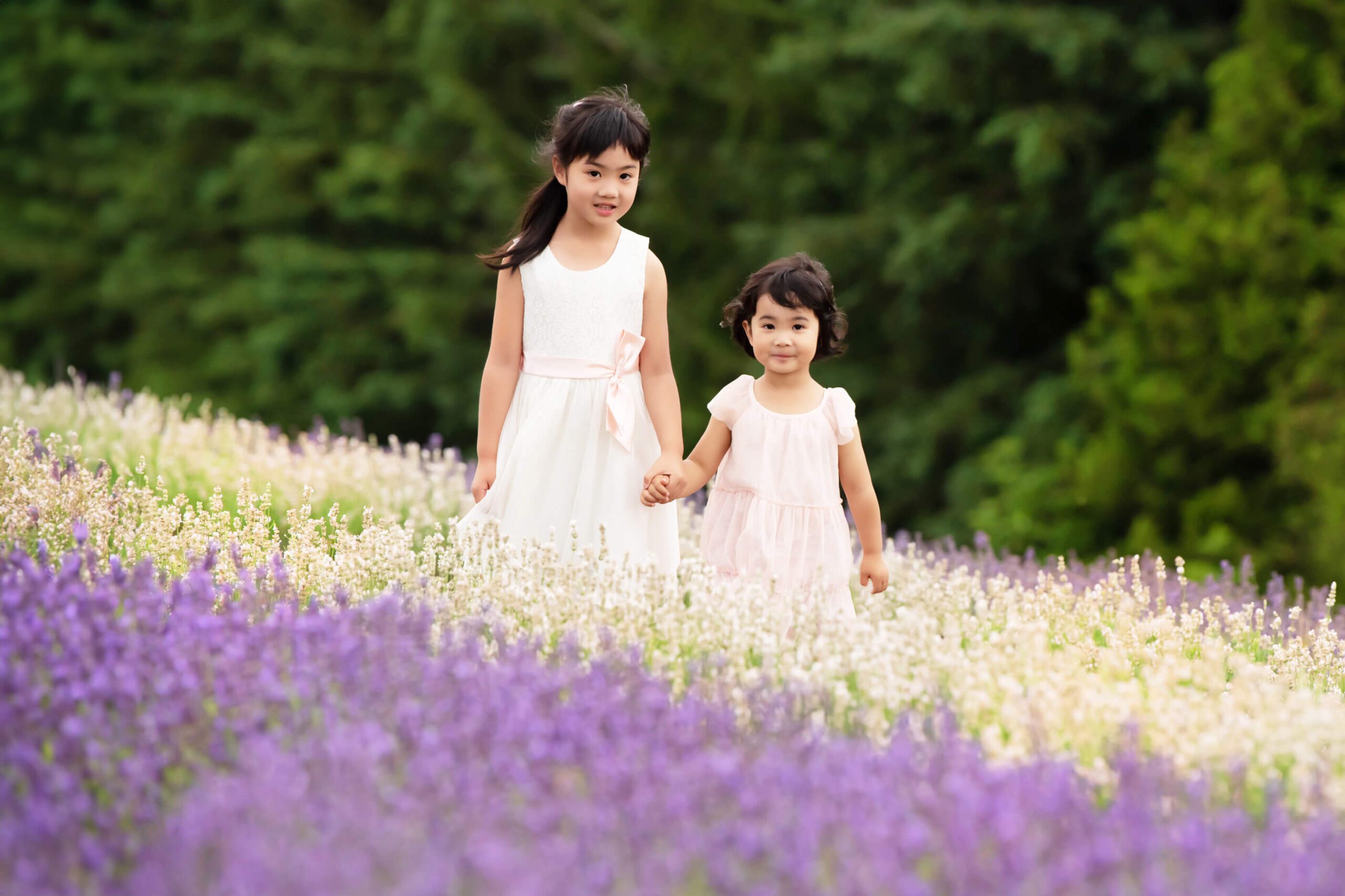 Sisters holding hands standing in the lavender fields.