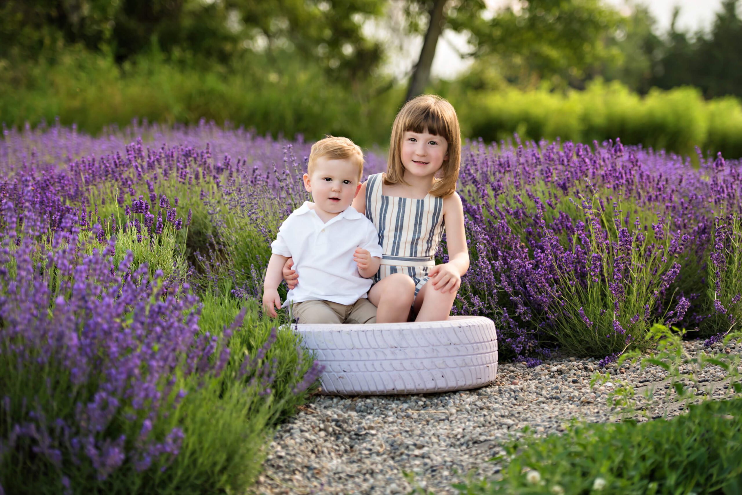 Brother and sister sitting on a purple tire in the lavender field.