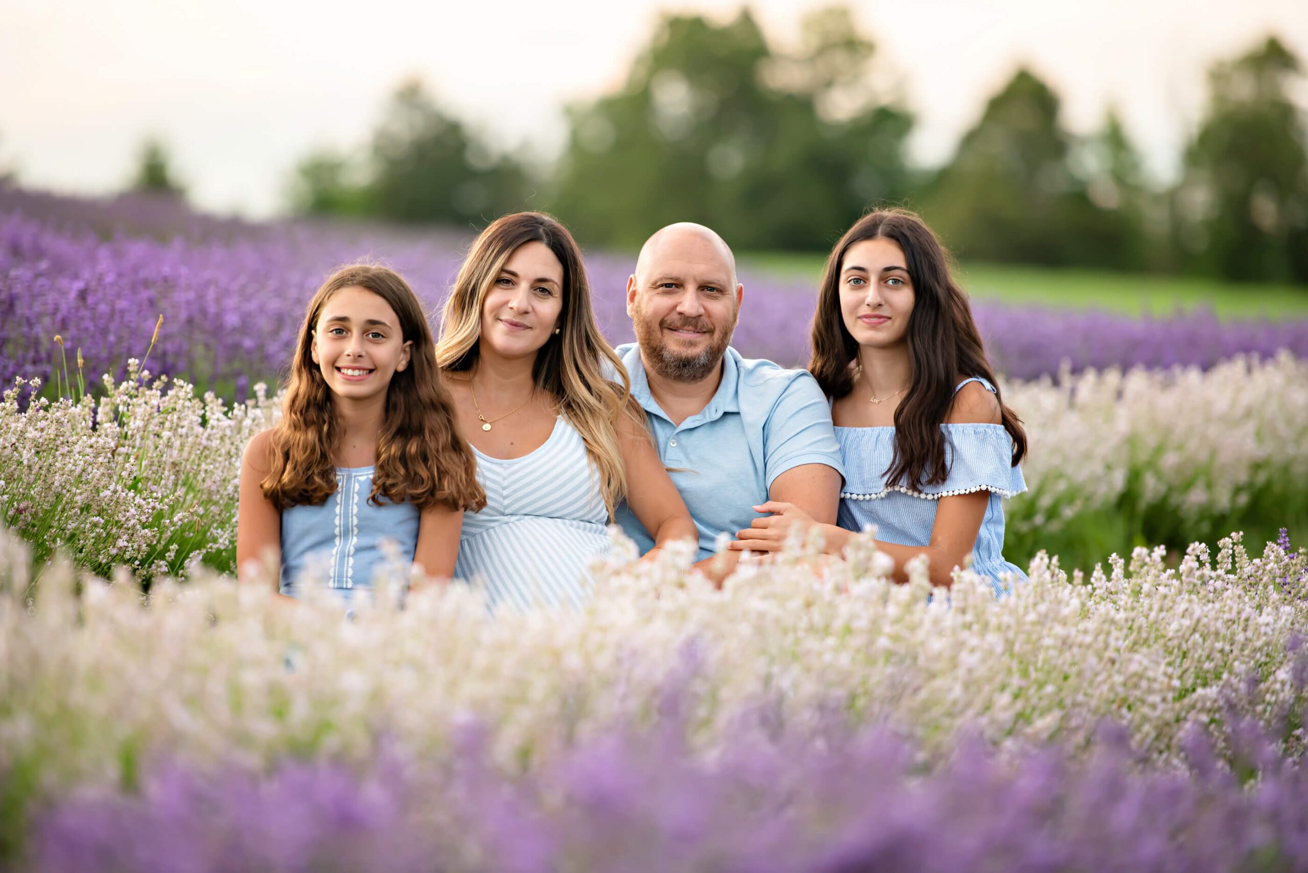 Family of four sitting in the lavender for their outdoor family photography session.